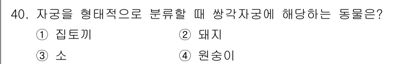 축산기사 2016년 40번 - 정답은 3. 소입니다. 자궁을 형태적으로 분류할 때, 소는 단순한 형태를... 에 관한 핵심 기출문제