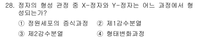 축산기사 2017년 28번 - 정지의 형성 과정에서 Y-정지와 X-정지가 함께 작업하는 두 개의 과정이... 에 관한 핵심 기출문제