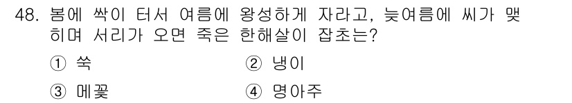 종자기능사 2015년 48번 - 정답은 4번 '덩굴주'입니다. 봄에 싹이 나고 여름에 자라며 늦가을에 씨... 에 관한 핵심 기출문제