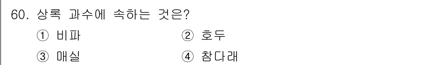 종자기능사 2015년 60번 - . 비파  
비파는 상록 과수로, 열매를 맺는 나무의 일종입니다. 이러한... 에 관한 핵심 기출문제