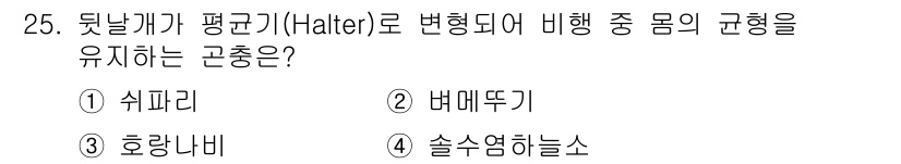 식물보호산업기사 2015년 25번 - 정답은 3번, 솔수염하늘소입니다. 이 곤충은 몸의 형태가 특징적으로 세로... 에 관한 핵심 기출문제