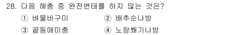 식물보호산업기사 2015년 28번 - 정답은 4번 "노랑쎄기니방"입니다. 노랑쎄기니방은 식물 보호와 관련된 해... 에 관한 핵심 기출문제