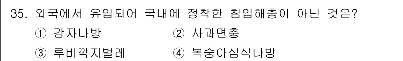 식물보호산업기사 2015년 35번 - 정답은 3. 루비깍지벌레입니다. 루비깍지벌레는 외래 침입 해충이지만, 국... 에 관한 핵심 기출문제