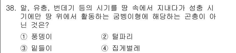 식물보호산업기사 2015년 38번 - 정답은 2. 텔파리입니다. 텔파리는 일반적으로 식물의 지각층 아래에서 자... 에 관한 핵심 기출문제