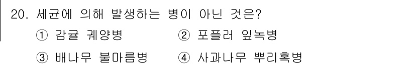 식물보호산업기사 2016년 20번 - 정답은 2번, 포플러 잎녹병입니다. 이 병은 포플러를 포함한 특정 나무에... 에 관한 핵심 기출문제