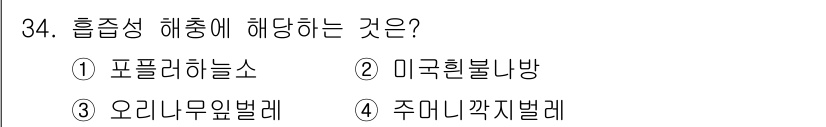 식물보호산업기사 2016년 34번 - 정답은 4번, 주머니깍지벌레입니다. 흡즙성 해충은 식물의 수액을 빨아먹어... 에 관한 핵심 기출문제