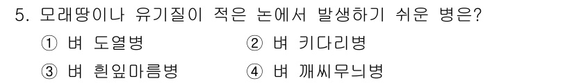 식물보호산업기사 2016년 5번 - 정답은 4번 '버 씨무늬병'입니다. 이 병은 주로 고온 다습한 환경에서 ... 에 관한 핵심 기출문제