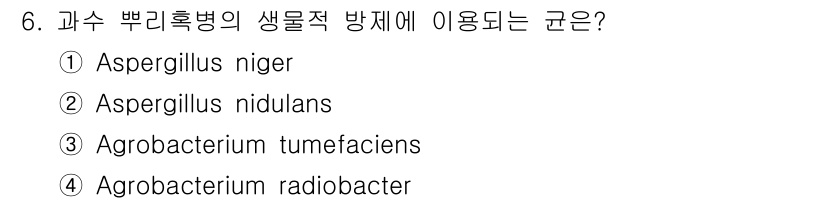 식물보호산업기사 2016년 6번 - 정답은 3번 Agrobacterium tumefaciens입니다. 이 미... 에 관한 핵심 기출문제
