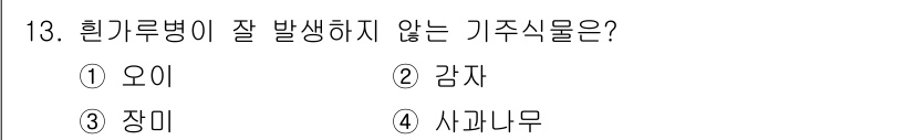식물보호산업기사 2017년 13번 - 정답은 3번 장미입니다. 장미는 흰기류병의 주요 피해 식물이 아니며, 감... 에 관한 핵심 기출문제