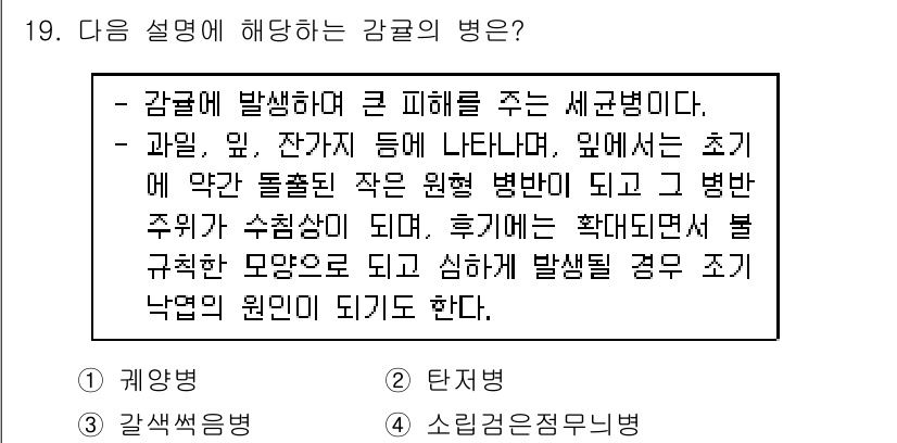 식물보호산업기사 2017년 19번 - 감귤의 병해는 주로 균류에 의해 발생하며, 초기에는 잎, 과일 등에 증상... 에 관한 핵심 기출문제