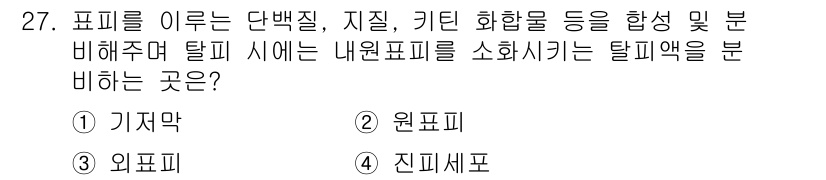 식물보호산업기사 2017년 27번 - 정답은 3번 외피피입니다. 외피피는 식물의 외부 보호 역할을 하며, 수분... 에 관한 핵심 기출문제