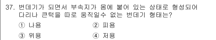 식물보호산업기사 2017년 37번 - 피용(被用) 형태는 다른 생물체에 의해서 기생적 또는 부착적으로 살아가는... 에 관한 핵심 기출문제