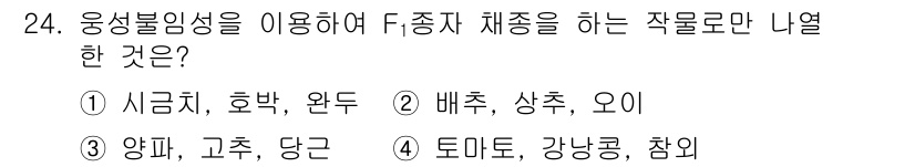 종자기사 2018년 24번 - 배추, 상추, 오이는 F.종자 체종에서 활용되는 주요 작물입니다. 이들은... 에 관한 핵심 기출문제