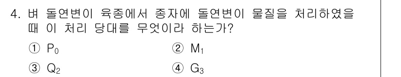 종자기사 2018년 4번 - 정답은 3번 Q₂입니다. Q₂는 돌연변이 유전자에 의해 발생한 종자의 자... 에 관한 핵심 기출문제