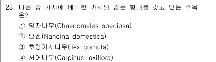 조경산업기사 2018년 23번 - 정답은 ② 남천(Nandina domestica)입니다. 남천은 열대 및... 에 관한 핵심 기출문제