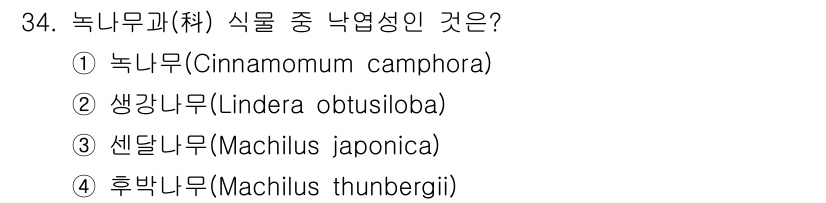 조경산업기사 2018년 34번 - . 녹나무(Cinnamomum camphora)는 낙엽성 식물로, 주로 ... 에 관한 핵심 기출문제