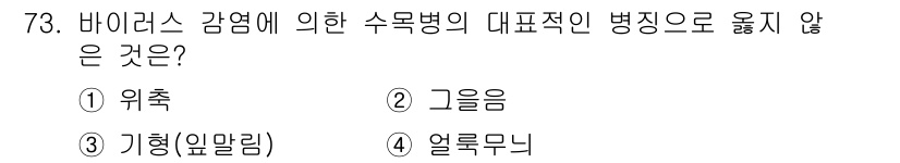조경산업기사 2018년 73번 - 바이러스 감염에 의한 수목병 중에서 "기형(일말람)"은 바이러스에 의해 ... 에 관한 핵심 기출문제