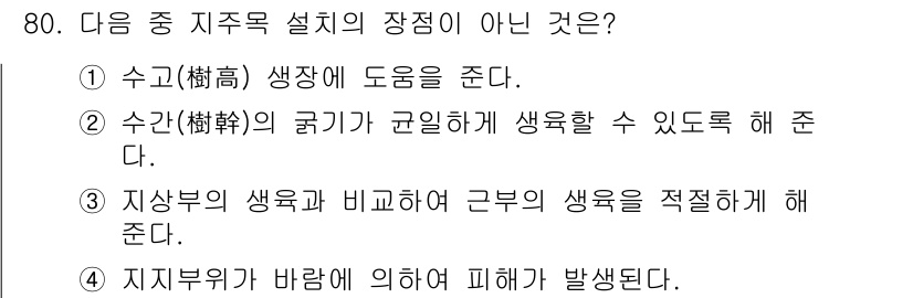 조경산업기사 2018년 80번 - 지주목 설치는 지지력을 제공하는 기능을 수행하며, 바람에 의한 피해를 최... 에 관한 핵심 기출문제