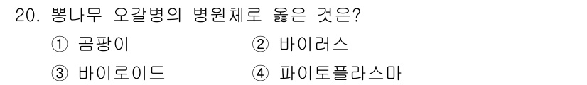 식물보호기사 2018년 20번 - 병나무 오갈병의 병원체는 바이러스입니다. 이 병은 병나무에 특정한 바이러... 에 관한 핵심 기출문제