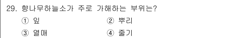 식물보호기사 2018년 29번 - 정답은 3번 '열매'입니다. 항무하늘소는 주로 식물의 열매를 가해하여 피... 에 관한 핵심 기출문제