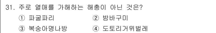 식물보호기사 2018년 31번 - 정답은 2번 방바구미입니다. 방바구미는 식물의 주요 해충이 아니며, 다른... 에 관한 핵심 기출문제