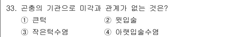 식물보호기사 2018년 33번 - 정답은 3. 작은딱수염입니다. 작은딱수염은 잎을 먹는 해충으로, 다른 선... 에 관한 핵심 기출문제