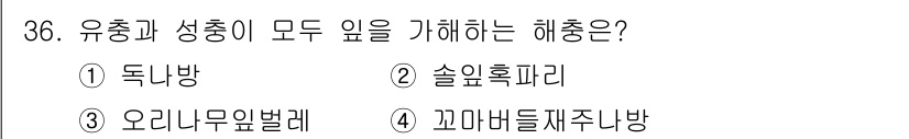 식물보호기사 2018년 36번 - 정답은 5. 솔이호리다입니다. 유충과 성충 모두를 기주로 할 수 있는 해... 에 관한 핵심 기출문제