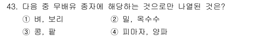 식물보호기사 2018년 43번 - . 보리  
보리는 잡곡에 해당하며, 일반적으로 무배유 식물의 범주에 포... 에 관한 핵심 기출문제