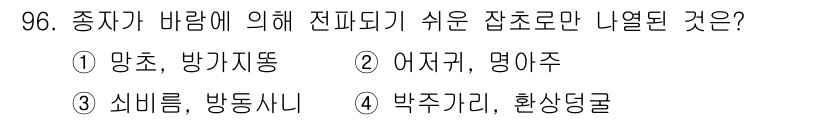 식물보호기사 2018년 96번 - 어저귀와 명아주는 종자가 바람에 의해 쉽게 전파되는 잡초로, 특히 굵은 ... 에 관한 핵심 기출문제