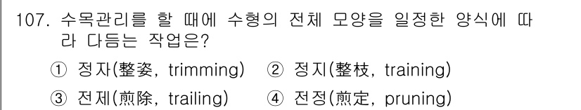 조경기사 2018년 107번 - . 정답인 이유는 수목을 다룰 때 수형을 조절하여 아름다움을 유지하고 건... 에 관한 핵심 기출문제