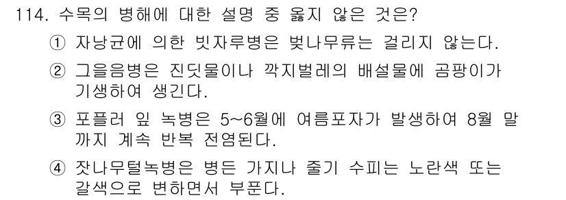 조경기사 2018년 114번 - 잣나무 병해는 해충이나 환경적 요인으로 인한 병이므로 수피가 젖거나 노랗... 에 관한 핵심 기출문제