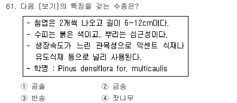 조경기사 2018년 61번 - . 

이 식물은 긴 침엽과 붉은 뿌리가 특징이며, 성장 속도가 느립니다... 에 관한 핵심 기출문제
