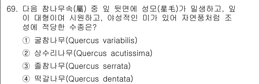 조경기사 2018년 69번 - . 떡참나무(Quercus dentata)

떡참나무는 깊은 뿌리 시스템... 에 관한 핵심 기출문제