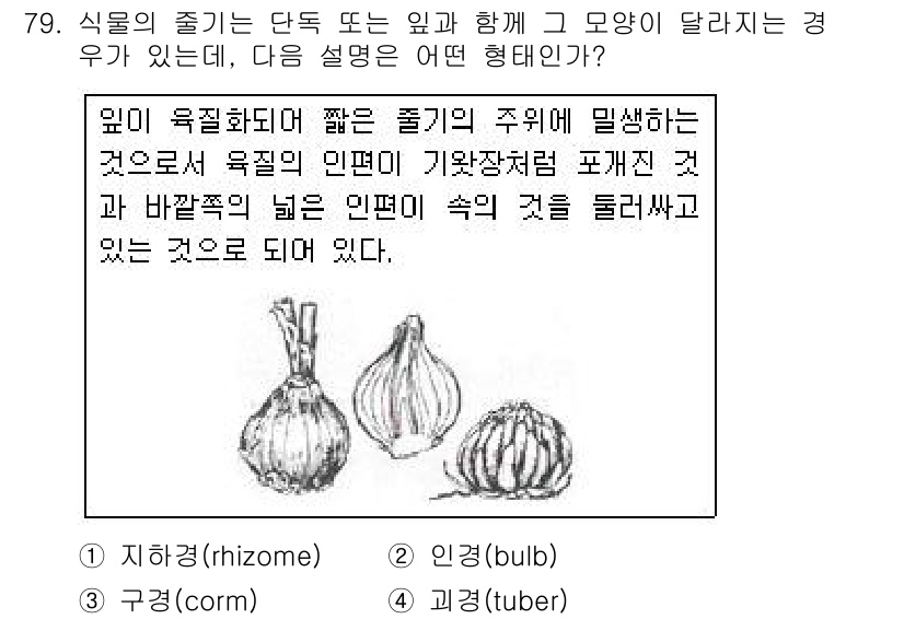 조경기사 2018년 79번 - . 괴경(tuber)

괴경은 식물의 줄기가 비대해져서 저장 조직으로 변... 에 관한 핵심 기출문제