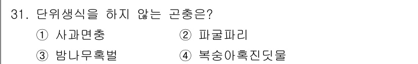 식물보호산업기사 2018년 31번 - . 밤나무흑벌은 단위생식을 하지 않는 곤충입니다. 이 곤충은 일반적으로 ... 에 관한 핵심 기출문제