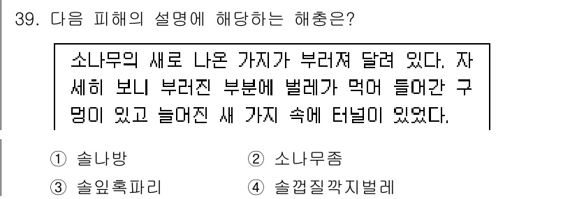 식물보호산업기사 2018년 39번 - 소나무목 새로 나오는 가지가 부러지면서, 내부에 곤충이나 병원균이 침입할... 에 관한 핵심 기출문제