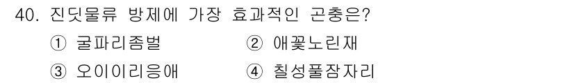 식물보호산업기사 2018년 40번 - 정답은 3번, 오이아리증애입니다. 진딧물 방제에 가장 효과적인 물질로 알... 에 관한 핵심 기출문제