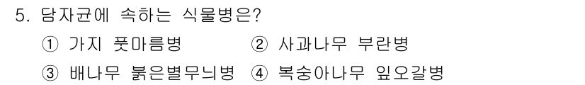 식물보호산업기사 2018년 5번 - 정답은 2번 사과나무 부란병입니다. 이 병은 특히 사과나무에 발생하며, ... 에 관한 핵심 기출문제