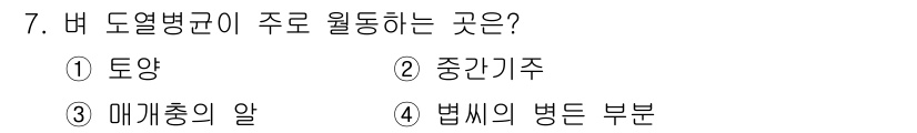 식물보호산업기사 2018년 7번 - 버 도열병균은 주로 중간기주에서 활발히 활동하며, 이는 토양이나 식물의 ... 에 관한 핵심 기출문제