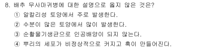 식물보호산업기사 2018년 8번 - 배추 무사마귀병에 대한 설명 중 옳지 않은 것은 4번입니다. 이 병은 뿌... 에 관한 핵심 기출문제