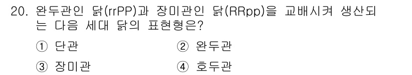 축산기사 2018년 20번 - 정답은 3번 장미관입니다. 장미관 닭(RRpp)은 특정 유전형으로, 다른... 에 관한 핵심 기출문제