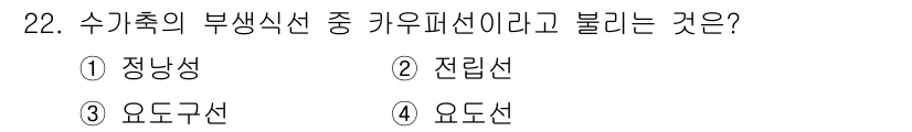 축산기사 2018년 22번 - 수기축의 부생식선 중 카이로패션은 일반적으로 "전립선"을 의미합니다. 전... 에 관한 핵심 기출문제