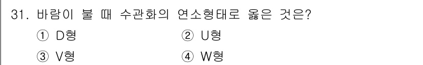화재감식평가기사 2018년 31번 - 정답은 4번 W형입니다. W형 연소형태는 바람이 불 때 수관화의 연소특성... 에 관한 핵심 기출문제