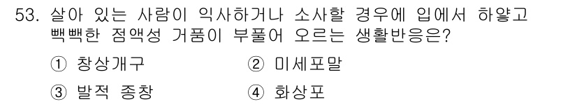 화재감식평가기사 2018년 53번 - 정답은 5번, 화상풀이입니다. 화재 시 백색 점염성 가스를 흡입한 경우,... 에 관한 핵심 기출문제