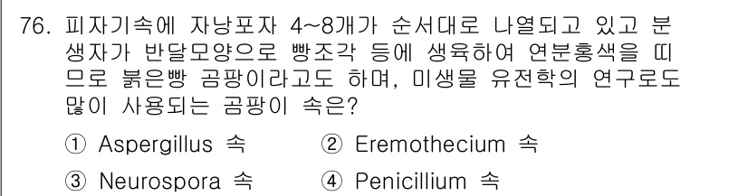 식품산업기사(구) 2018년 76번 - . Aspergillus속은 다양한 식품 발효 과정에서 중요한 역할을 하... 에 관한 핵심 기출문제