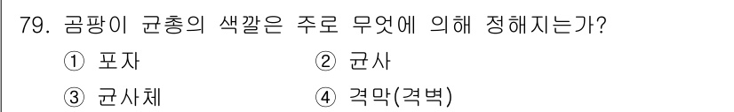 식품안전기사 2018년 83번 - 곤충의 곱창이 균총의 색깔은 주로 곤사의 영향에 의해 정해진다. 곤사는 ... 에 관한 핵심 기출문제