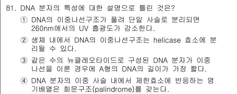 식품안전기사 2018년 85번 - DNA 분자의 특성 중, DNA의 이중나선 구조가 UV 흡광도를 증가시키... 에 관한 핵심 기출문제