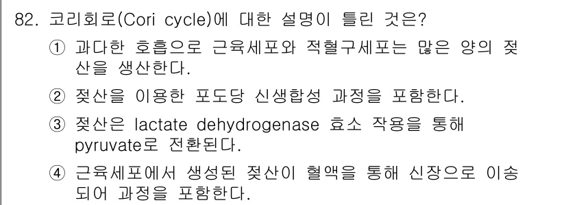 식품안전기사 2018년 86번 - 젖산을 이용한 포도당 신생합성 과정에서 Cori cycle이 중요한 역할... 에 관한 핵심 기출문제