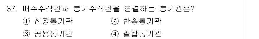 건축설비산업기사 2016년 37번 - 정답은 2번 반송통기관입니다. 배수수직관과 통기수직관은 서로 연결되어 기... 에 관한 핵심 기출문제
