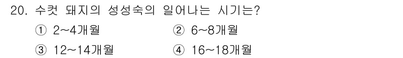 축산산업기사 2015년 20번 - 수컷 돼지의 성숙 속은 일반적으로 6개월에서 8개월 사이에 이릅니다. 이... 에 관한 핵심 기출문제